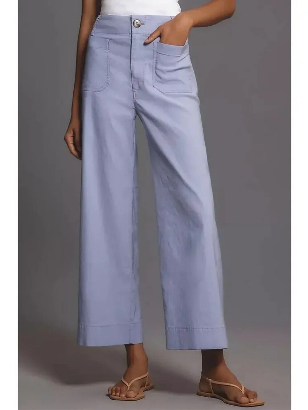Anthropologie Maeve Lavender Colette High Waisted Wide-Leg Trousers 30T